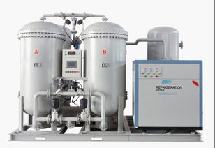 50立方變壓吸附制氮機 高效節能的工業氣體解決方案